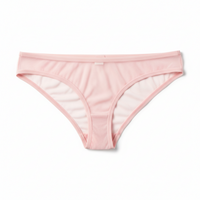 Sunward Seamless Cheeky Bikini Panty, Sunward See-Through Seamless Bikini